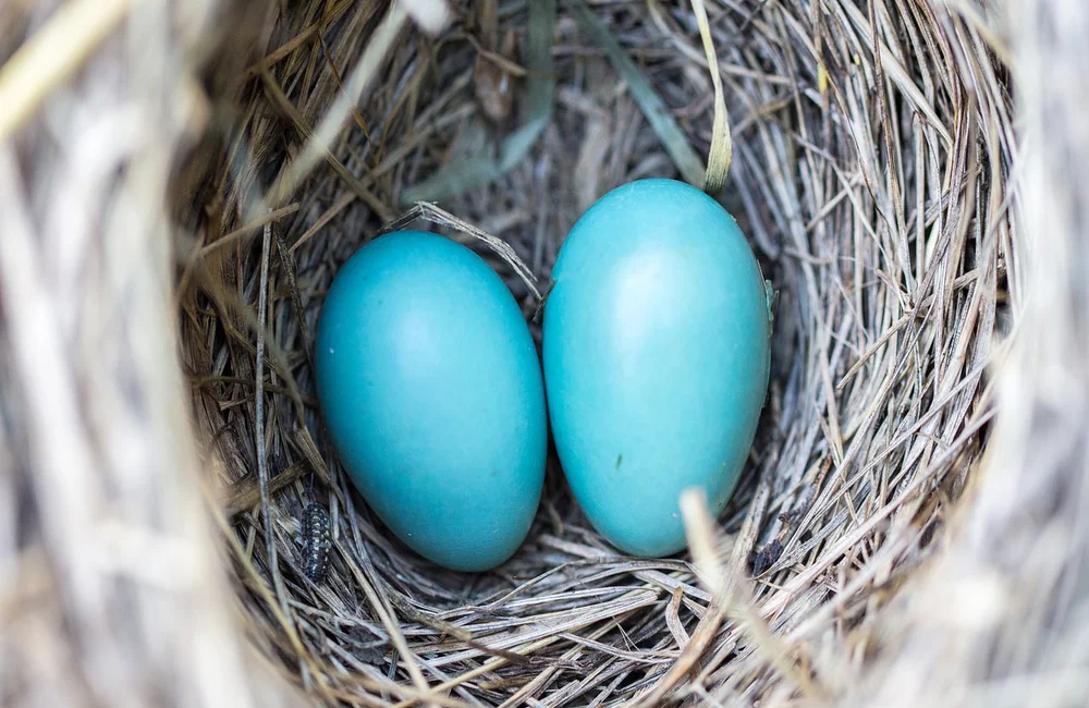 Don’t confuse diversification with hedging