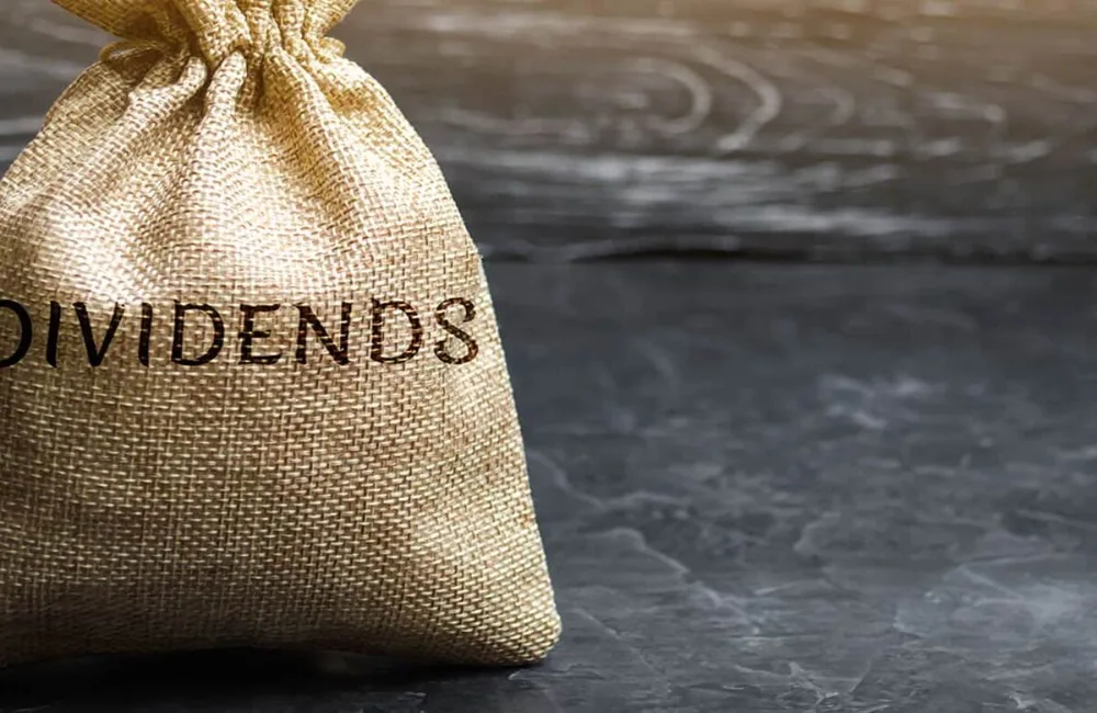 There is nothing special about dividends