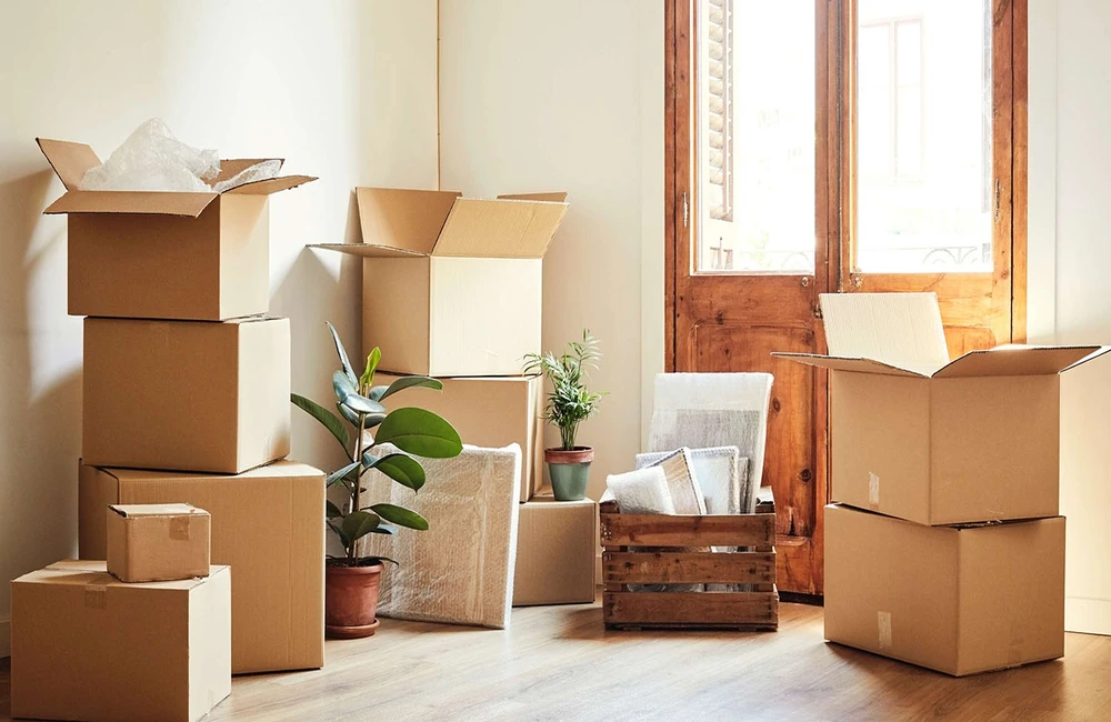 Why Australia is obsessed with housing